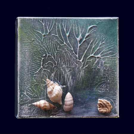 Coquillages - VENDU