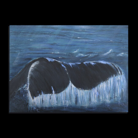 Queue de baleine - VENDU